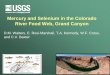 Mercury and Selenium in the Colorado River Food Web, Grand ... · PDF fileU.S. Department of the Interior U.S. Geological Survey Mercury and Selenium in the Colorado River Food Web,