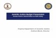Juvenile Justice Budget Presentation - Virginiasfc.virginia.gov/pdf/Public Safety/2016/012716_No1_DJJ.pdf · Juvenile Justice Budget Presentation Senate Finance Subcommittee on Public
