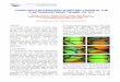LIVING WITH SUPERSONIC STARTING LOADS IN THE T · PDF file · 2014-12-11LIVING WITH SUPERSONIC STARTING LOADS IN THE ... missile-like models in the T-38 wind tunnel (axial force FTX,