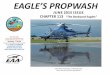 2015 email EAA - Home - Chapter 113 2015 EMAIL-R.pdfCHAPTER 113 “The Backyard Eagles ... Show by Bill Barber and Company and included high and low altitude precision aerobatics,