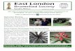 East LondonEast London · PDF fileSome Popular Bromeliads from the Spring Fair ... Denise O’Hagan with Dr Pete Pfister at the end of a lovely afternoon. ... importance of labelling