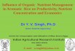Influence of Organic Nutrient Management in Aromatic Rice · PDF file · 2014-06-26in Aromatic Rice on Productivity, Nutrient Concentration and Economics Dr Y. V. Singh, ... passion