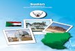 Sudan - Home | Food and Agriculture Organization of the · PDF file · 2010-07-29support agriculture research. ... Biotechnology in Sudan. A tissue culture lab was established in