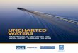 UNCHARTED WATERS - Business Call to Action WATERS: BLENDING VALUE AND VALUES FOR SOCIAL IMPACT THROUGH THE SDGS ... business model innovation and revenue generation. In fact, this