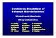 Gyrokine tic Simulations of Tokamak Microturbulencegs2.sourceforge.net/EPS.pdfGyrokine tic Simulations of Tokamak Microturbulence W Dorland, Imperial College, London With key contributions