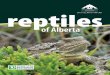 1 Alberta Conservation Association - Reptiles of · PDF file1 Alberta Conservation Association - Reptiles of Alberta ... Alberta Conservation Association - Reptiles of Alberta 2. 