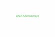 DNA Microarrays - Courses · PDF fileDNA Microarrays . What is a microarray ... of DNA-DNA or DNA-RNA hybridization . ... Spotted Array: Compare two