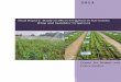 Final Report: Study on Micro Irrigation in Karnataka (Drip ...cbps.in/wp-content/uploads/Micro-Irrigation-Study-final-14032013.pdf · 2013 Submitted by Centre for Budget and Policy