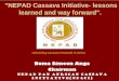 NEPAD Cassava Initiative- lessons learned and way forward'. · PDF fileNigeria has set a vision to launch a new fuel ethanol industry ... Promote National Cassava Task Forces 