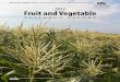 PR-656 2012 Fruit and Vegetable - College of …. Teferi Tsegaye Faculty ... Shelby Fruit and vegetable research sites in 2012. ... The 2012 Fruit and Vegetable crops research report