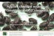 Applied chemical ecology of cetoniin scarabs (Coleoptera ... · PDF fileFoto: Nagy Z. L. Applied chemical ecology of cetoniin scarabs (Coleoptera: Scarabaeidae) Miklós Tóth Plant