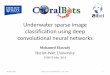 Underwater sparse image classification using deep · PDF file · 2015-11-30Underwater sparse image classification using deep convolutional neural networks ... recognition Deep Learning
