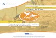 GROWING STEPS REPORT - European Association for · PDF fileMykolaiv city youth non-profit organisation “Iskra” ... Growing Steps is a very big project, ... (Study Visit) From ideas