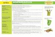 Pick a better snack Lesson Plan APRIL ASPARAGUS …idph.iowa.gov/Portals/1/userfiles/94/School Grant Progra… ·  · 2017-04-05Students will learn that eating vegetables is a way