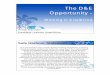The D&E Opportunity - - Unilever global company website | · PDF file · 2018-02-03Annapurna Brooke Bond Encapsulated Iodized Salt Combats IDD Vitamin Enriched ... tea, laundry powder