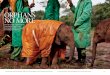 ORPHANS NO MORE - David Sheldrick Wildlife Trust keepers at the David Sheldrick Wildlife Trust’s Nairobi Elephant Nursery in Kenya protect baby Shukuru After the trauma of attack