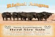 34 Annual Herd Sire Sale tested by Dr. Kevan Albertson, Stockman's Vet Clinic, North Platte, Neb. Scrotal measurements were also taken by Dr. Albertson. Hereford bulls have been fertility