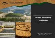 Focused on Growing Production - Copper Mountain Mining ... · PDF filecompleted Feasibility Study, 2012 Forecasts and other ... SAG Mill (Liner/ Grate) Reclaim water Ball Mill Tailings