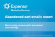 Abandoned cart emails report - · PDF fileEmail Remarketing Best Practices Guide was to ... 50 percent increase . in abandoned cart revenue ... How can we help you complete your order?