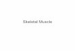Skeletal Muscle - Saint Louis Universitystarklab.slu.edu/PhysioLab/SkeletalMuscle.pdf(a) Skeletal muscle Nucleus Muscle fiber (cell) Striations (b) Cardiac muscle Striations Muscle