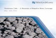 Petroleum Coke – A Mountain of Negative News Coverage · PDF file(Online), May 28). • In terms of key message share of voice, over 50 per cent noted the petroleum coke was from