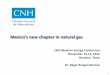 Mexico’s new chapter in natural gas - Platts • Current supply and demand situation of natural gas in Mexico • Developing Mexico’s gas resources and the implications of new