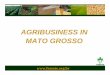 AGRIBUSINESS IN MATO GROSSO - Oklahoma State …oalp.okstate.edu/files/Brazil_2006/FAMATO.pdf · mato grosso´s development process subsistence economy primary production´s specialization