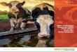 How a New Tennessee Milk Plant Could Grow the State · PDF fileHow a New Tennessee Milk Plant Could Grow the State Economy August 2016 Authors: David W. Hughes Professor and Greever