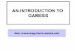 AN INTRODUCTION TO GAMESS - Ames  · PDF fileAN INTRODUCTION TO GAMESS See:   . GAMESS • General Atomic and Molecular Electronic Structure System • General purpose electronic