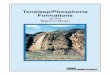 Tensleep/Phosphoria Formations - GeoDigital · PDF fileTensleep - Phosphoria of the Bighorn Basin . Overview . GeoDigital Information's Tensleep-Phosphoria study is designed to enhance