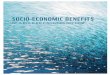 SOCIO-ECONOMIC BENEFITS - Pandaawsassets.panda.org/downloads/final_socio_economic... · SOCIO-ECONOMIC BENEFITS OF A BOLD EU FISHERIES REFORM. 4 ... The objective of the study is