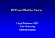 BCG and Bladder Cancer - PBworksnewenglandtb.pbworks.com/f/Friedman+BCG+and... · BCG and Bladder Cancer ... cystitis, and isoniazid, rifampin, and ethambutol with or without steroids
