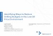 Sample Identifying Ways to Reduce Drilling Budgets in …web.luxresearchinc.com/hs-fs/hub/86611/file-439331891-pdf/EP__2014... · Identifying Ways to Reduce Drilling Budgets in the
