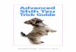 Advanced Shih Tzu Trick Guide - Best Shih tzu · PDF fileAdvanced Shih Tzu Trick Guide — Copyrighted © 2014 — Furry Joy About The Authors Beverly Young (“The Shih Tzu Gal”)