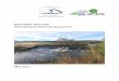 Newe Weir, River Don Weir Removal Technical · PDF fileNewe Weir, River Don Weir Removal Technical Assessment Client: River Don District Salmon Fishery Board Document number: ˆ˙˝˛