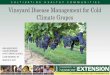 Vineyard Disease Management for Cold Climate Grapes · PDF fileVineyard Disease Management for Cold Climate Grapes ANN HAZELRIGG UVM EXTENSION NY/VT GRAPE SCHOOL LAKE GEORGE, NY MARCH