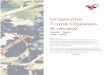 Grapevine Trunk Diseases. A review - · PDF fileGrapevine Trunk Diseases. A review Month : April Year : 2016 Warning This document has not been submitted to the step Procedure for