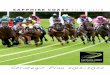 Strategic Plan 2012–2022 -   · PDF file2 SAPPHIRE COAST TURF CLUB STRATEGIC PLAN The Sapphire Coast Turf Club (SCTC) was formed by the closure of the Bega and