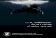 CCAC guidelines on: the care and use of marine · PDF file6.8.3 Sea otters ... the care and use of marine mammals is based on the Recommendations for the Care and ... CCAC guidelines