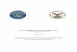 Cloud Security Document - Defense Information … ENTERPRISE CLOUD SERVICE BROKER . CLOUD SECURITY ... 5.2.4 DoD Command and Control and Network Operations Integration ... Appendix