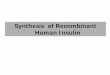 Synthesis of Recombinant Human Insulindownload.fa.itb.ac.id/filenya/Handout Kuliah/Drug Biosynthesis... · Synthesis of Recombinant Human Insulin. Data of Diabetic Patient. Since