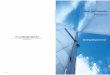 Nippon Steel  · PDF fileNippon Steel Corporation Annual Report 2008 ... the mutual supply of semi-finished products, ... joint ventures with Baoshan Iron & Steel Co., Ltd., in