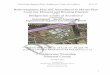 Redevelopment Plan and Amendment to ... - Bridgewater · PDF fileRedevelopment Plan and Amendment to Master Plan ... Banisch Associates, Inc. ... Bridgewater Township’s ability to
