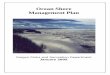 Ocean Shore Management Plan -  · PDF fileCoastal Area and Park Managers. ... Ocean Shore Management Plan recommendations spell out ... value of beachside properties. 4