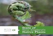 State of New England’s Native · PDF file · 2015-04-23... for us and for insects, birds, mammals, and other organisms. Plants supply ... Today 22% of New England’s native plants
