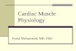 Cardiac Muscle Physiology - · PDF file2 Objectives: By The end of this lecture students should be able to: Distinguish the cardiac muscle cell microstructure Describe cardiac muscle
