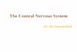 The Central Nervous System - Los Angeles Mission College 9 - The Central... · The Brain 1. The largest organ in the nervous system; composed of about 100 billion neurons (interestingly,