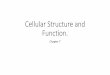 Cellular Structure and Function. - Lincoln High School …msguirandbiology.weebly.com/uploads/8/5/7/3/85738484/cellular... · Cellular Structure and Function. ... The human body is