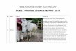 GODAWARI DONKEY SANCTUARY DOKEY PROFILE UPDATE · PDF fileGODAWARI DONKEY SANCTUARY . DOKEY PROFILE UPDATE REPORT 2016 . SN . ... she is one loving donkey of our sanctuary. ... Chobar