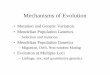 Mechanisms of Evolution - California State University ...dgray/Evol322/Chapter5.pdf · Mechanisms of Evolution ... • Mendelian Population Genetics –Selection and mutation •